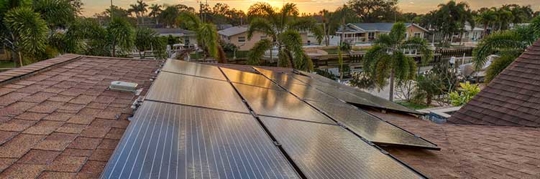 ank2vpu5nz8.2406040627550