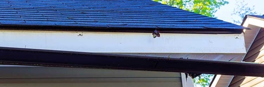 download-2024-06-18T070021.780.2406180700550