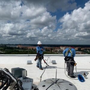 download-2024-06-18T094541.453.2406180945550