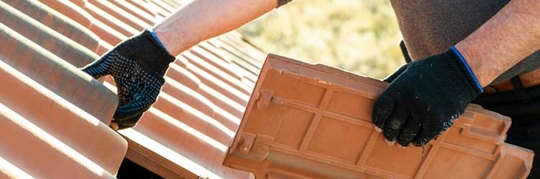 ihe2btynyot.2406040629550 (1)