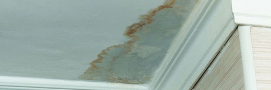 sx3mqlexam4.2406040629136